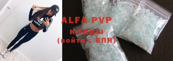 индика Нефтегорск