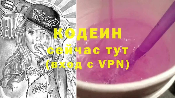 индика Нефтегорск