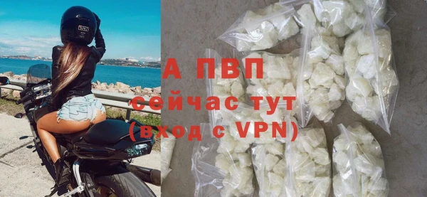 индика Нефтегорск