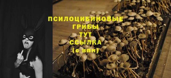 индика Нефтегорск