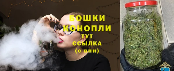 индика Нефтегорск