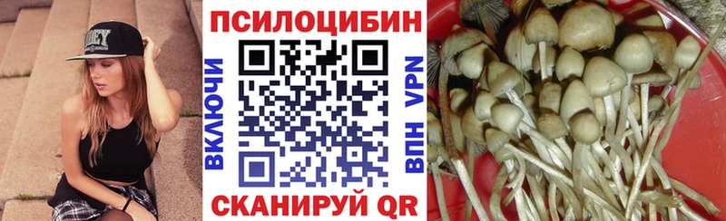 Галлюциногенные грибы мицелий  Купить закладки  Шимановск 